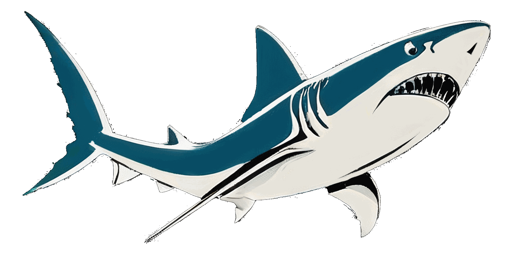 Shark Image